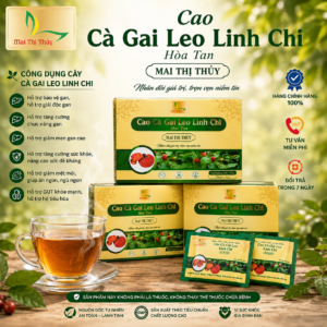 Trà Cà Gai Leo Linh Chi Hoà Tan