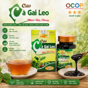Cao cà gai leo